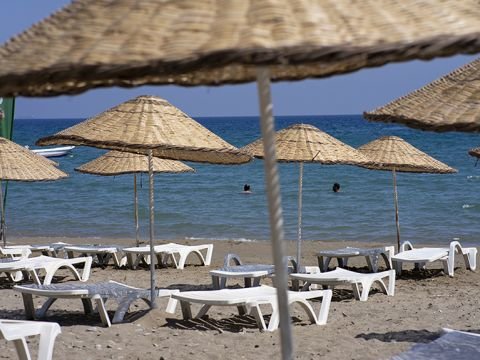 Shots from the Beach